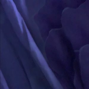 Meet your Posher, Anis